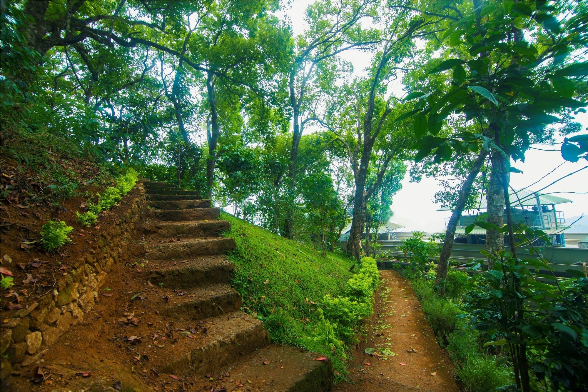 Forest Glade Resorts Chithirapuram 外观 照片