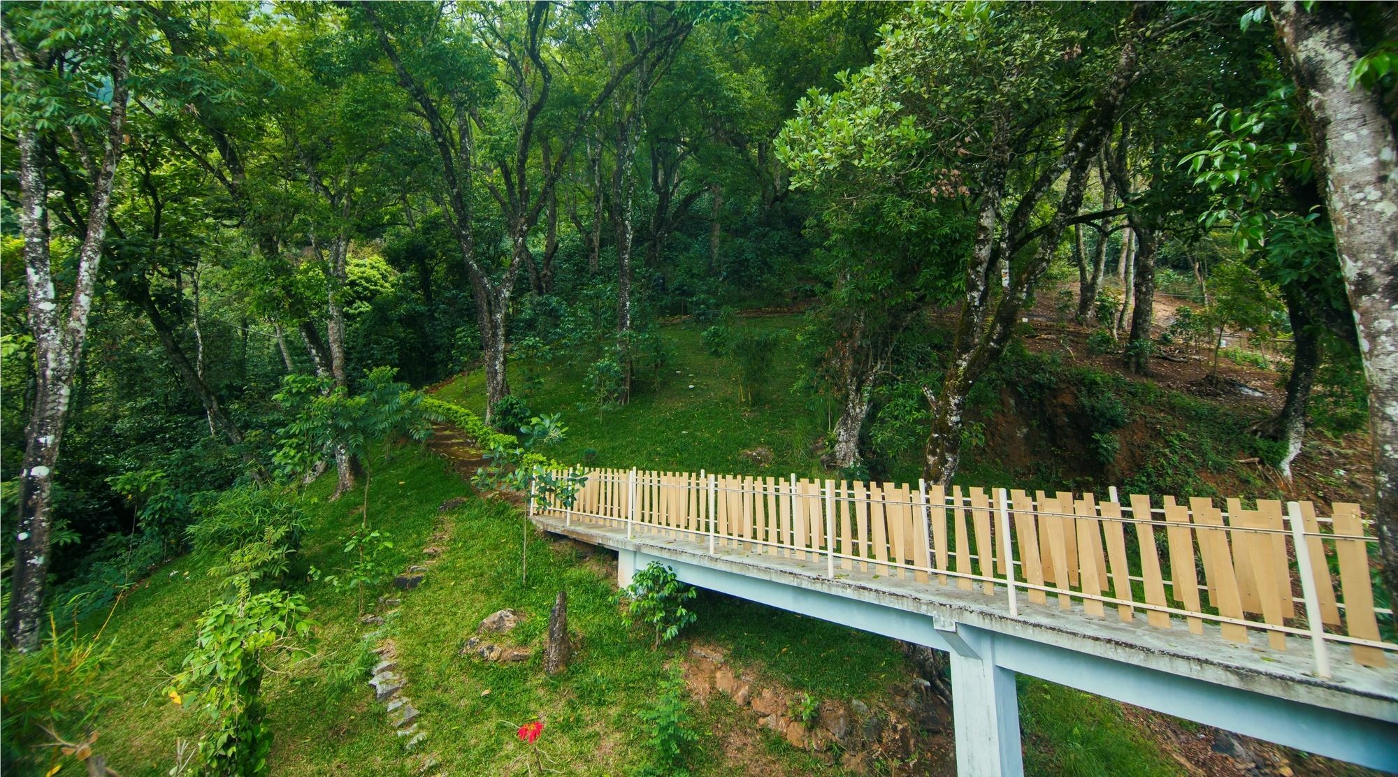 Forest Glade Resorts Chithirapuram 外观 照片